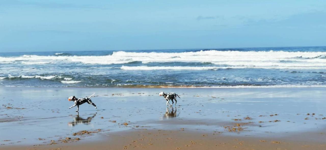 Mega Ocean Magoito - Sintra Villa Buitenkant foto